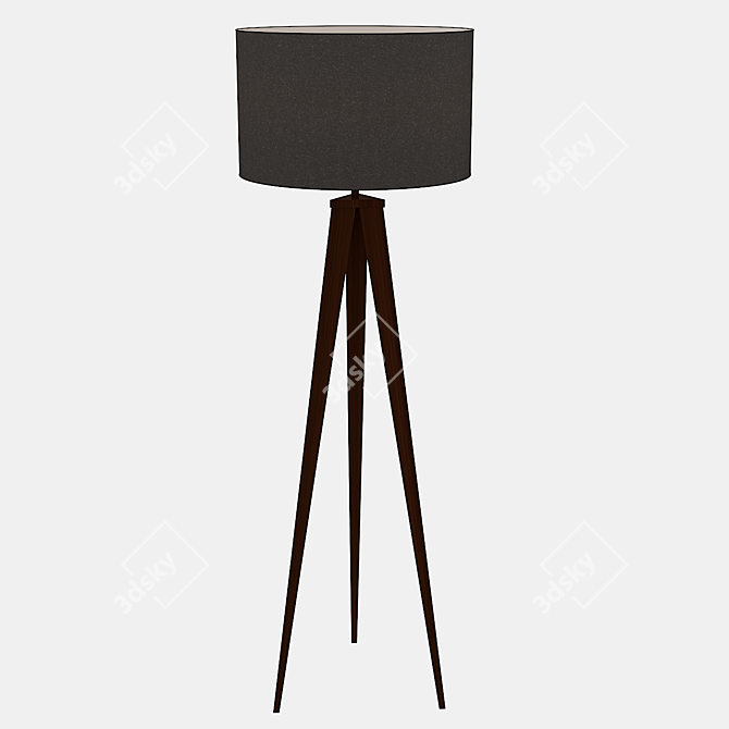 Elevate Your Space: Director's Tripod Lamp 3D model image 1