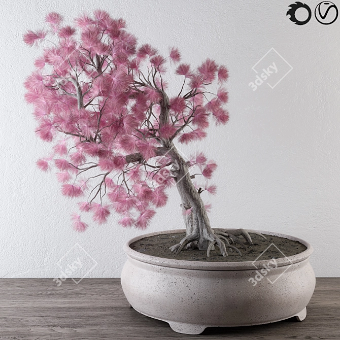 Pink Pine Bonsai: Vibrant, Versatile, and Ornamental 3D model image 1