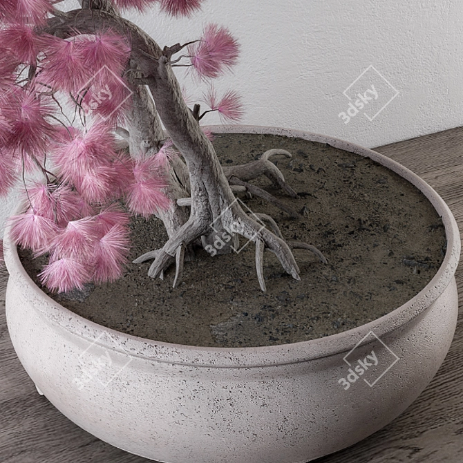 Pink Pine Bonsai: Vibrant, Versatile, and Ornamental 3D model image 2