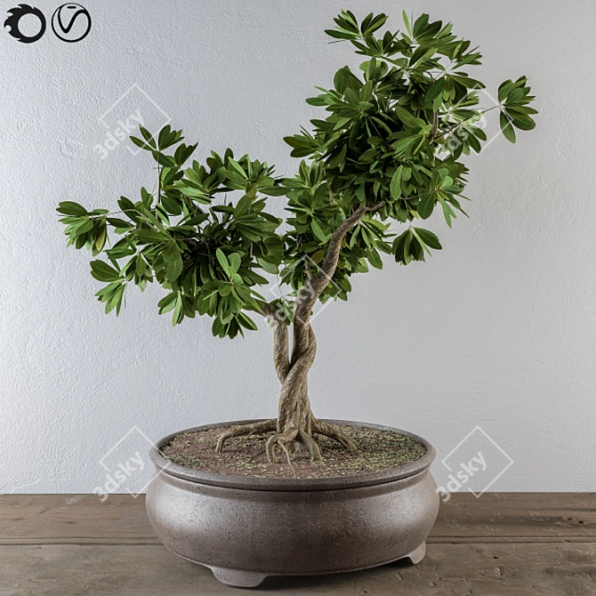 Lush Leafy Bonsai Beauty 3D model image 1