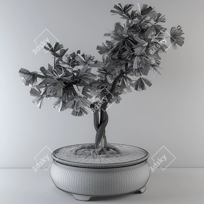 Lush Leafy Bonsai Beauty 3D model image 3