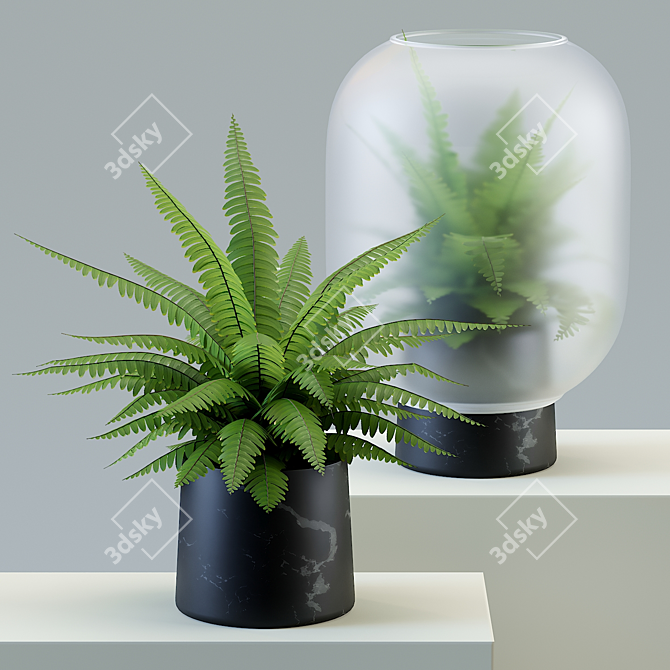 Frosty Serenity: Nebl Plant 3D model image 1