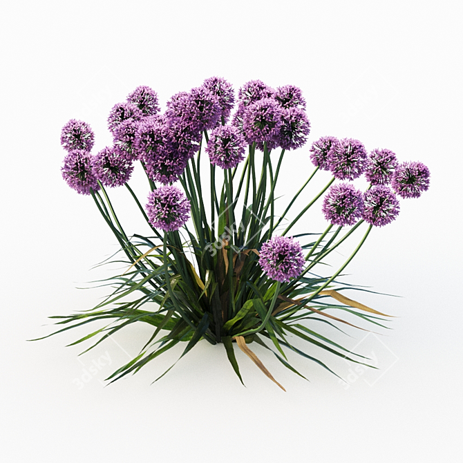 Procedural Landscape Elements: Grass & Allium Variations 3D model image 3