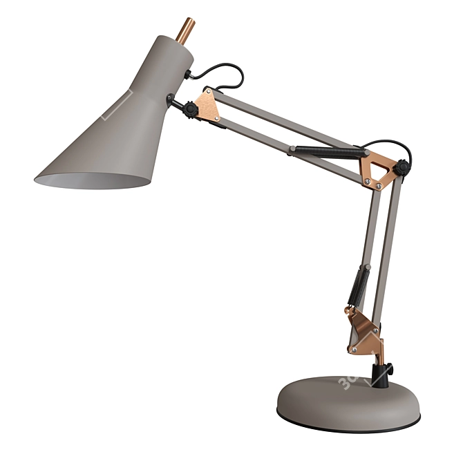 Gray Office Table Lamp - Norden 01032/1 3D model image 2