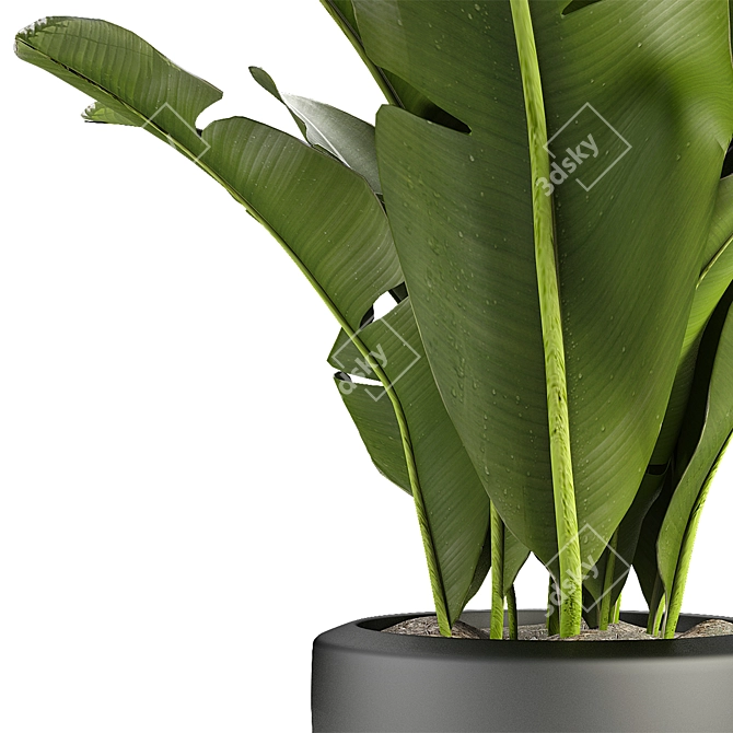 Exotic Greenery in Concrete Pot 3D model image 2