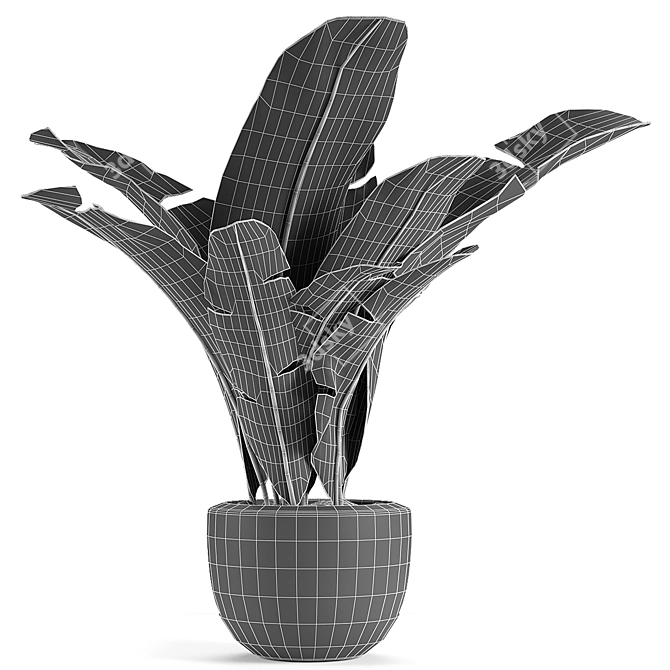 Exotic Greenery in Concrete Pot 3D model image 3