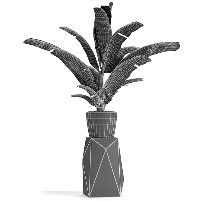 Exotic Flowerpot Plant: Tropical Elegance 3D model image 3