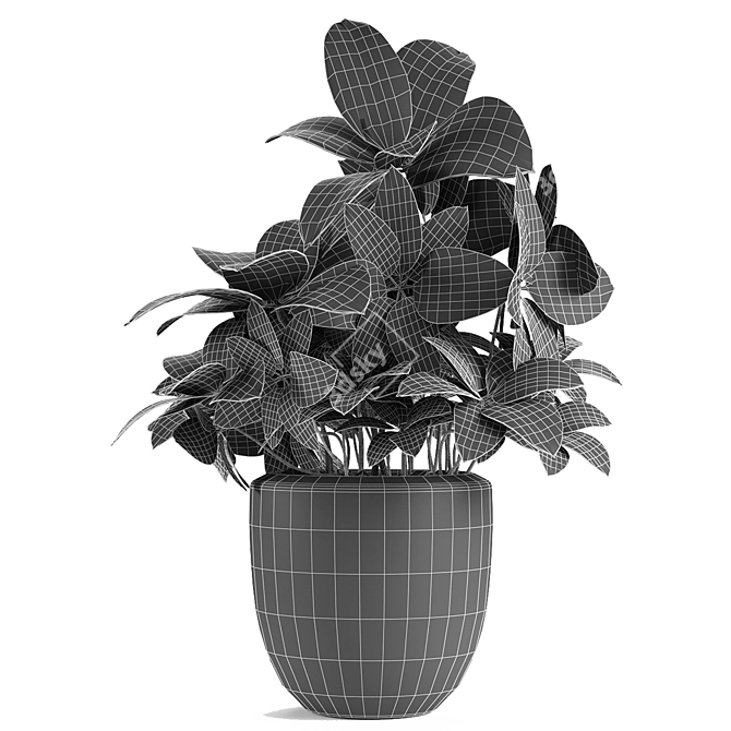 Tropical Exotic Plant in Flowerpot 3D model image 3