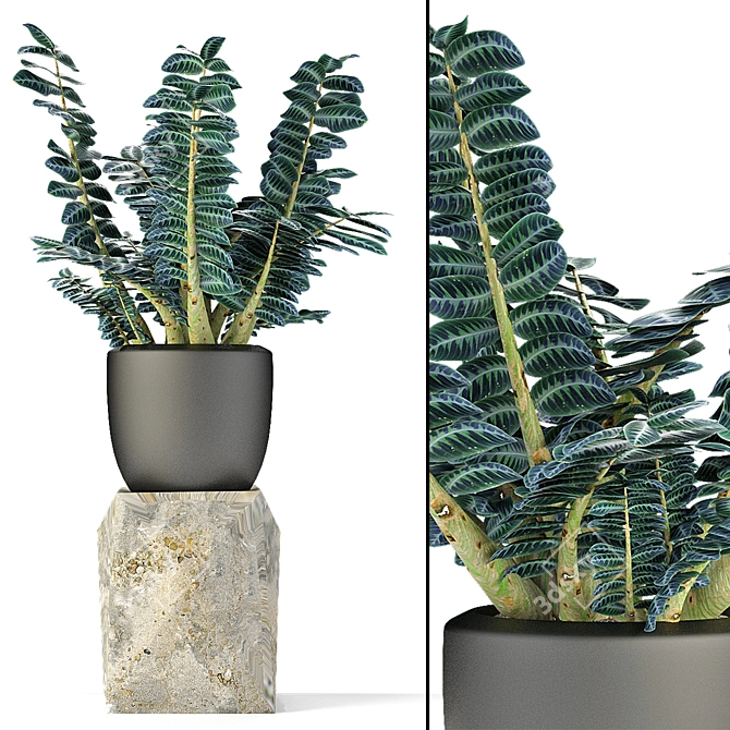 Exotic Greenery in Elegant Pot 3D model image 1