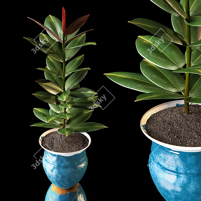 Rustic Ficus Plant in Iron Vase 3D model image 1