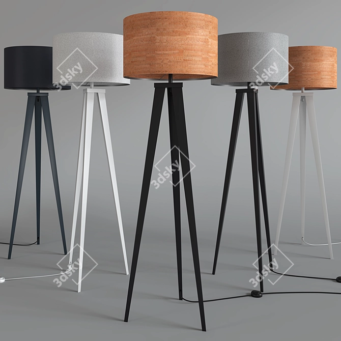 Zuiver Tripod Floor Lamp: Sleek and Stylish 3D model image 2