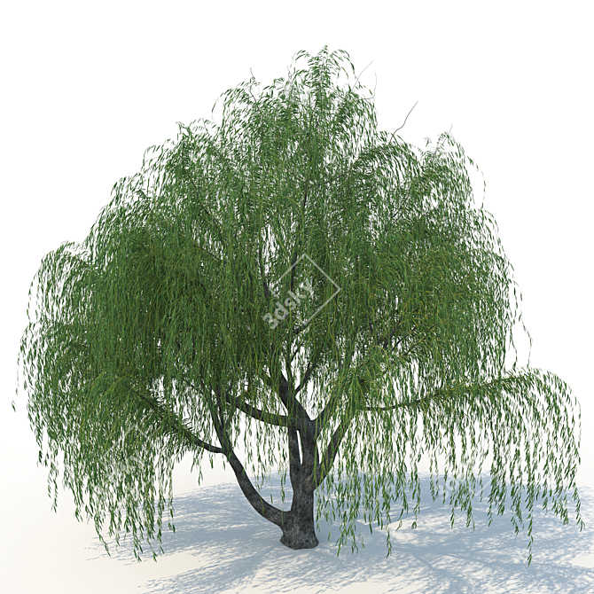 Willow Tree System Unit 3D model image 1