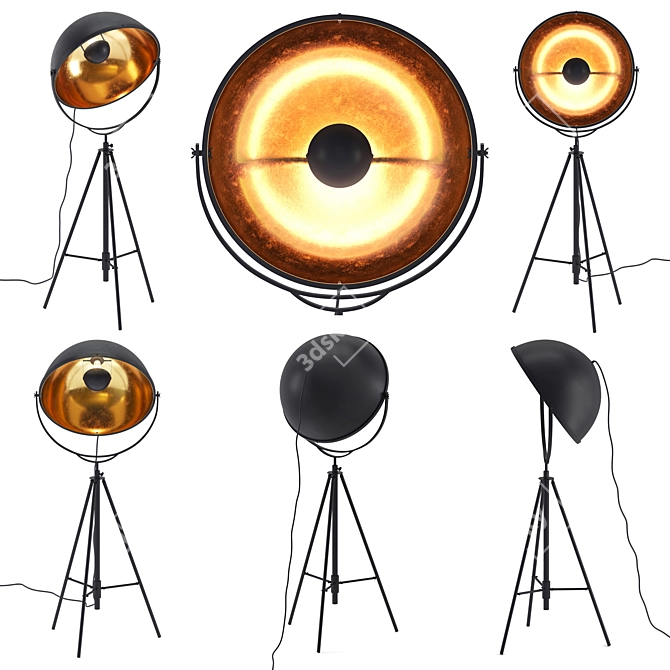 Elegant Antique Black Floor Lamp 3D model image 1