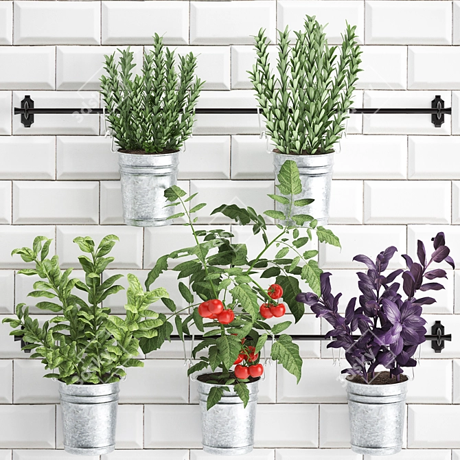 Kitchen Rail with Exotic Plants 3D model image 1