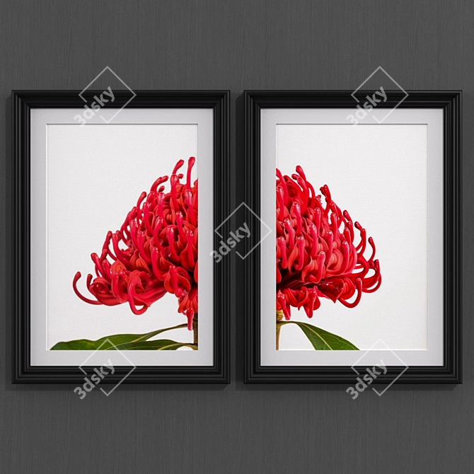 Modern Style Australian Flower Collection 3D model image 1