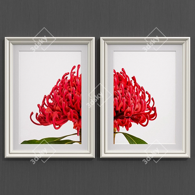 Modern Style Australian Flower Collection 3D model image 2