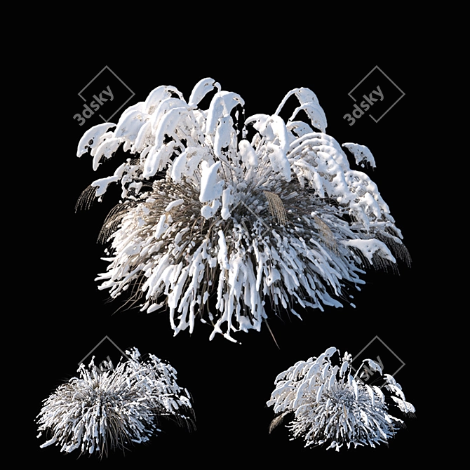 Elegant Winter Model: Miscanthus sinensis 3D model image 1