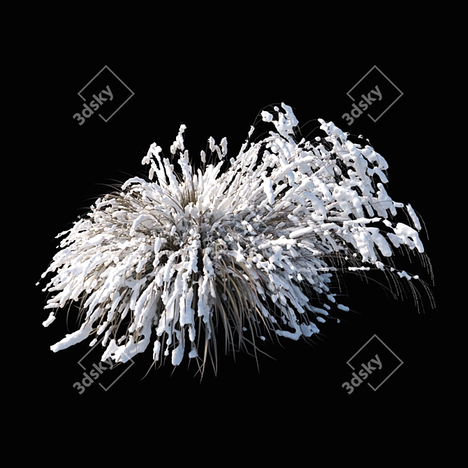 Elegant Winter Model: Miscanthus sinensis 3D model image 2