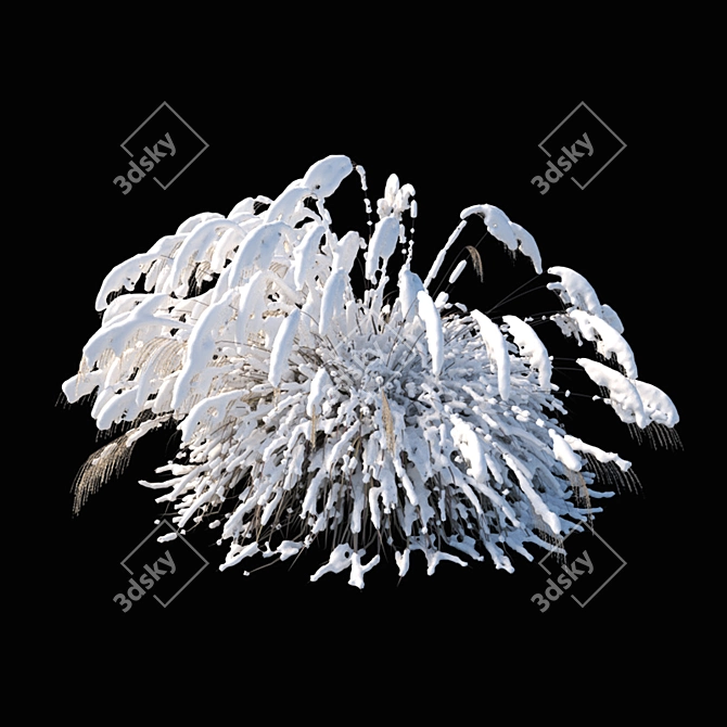 Elegant Winter Model: Miscanthus sinensis 3D model image 3