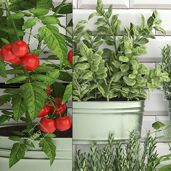 384 Plant Collection: Exotic Houseplants for Kitchen Rail 3D model image 2