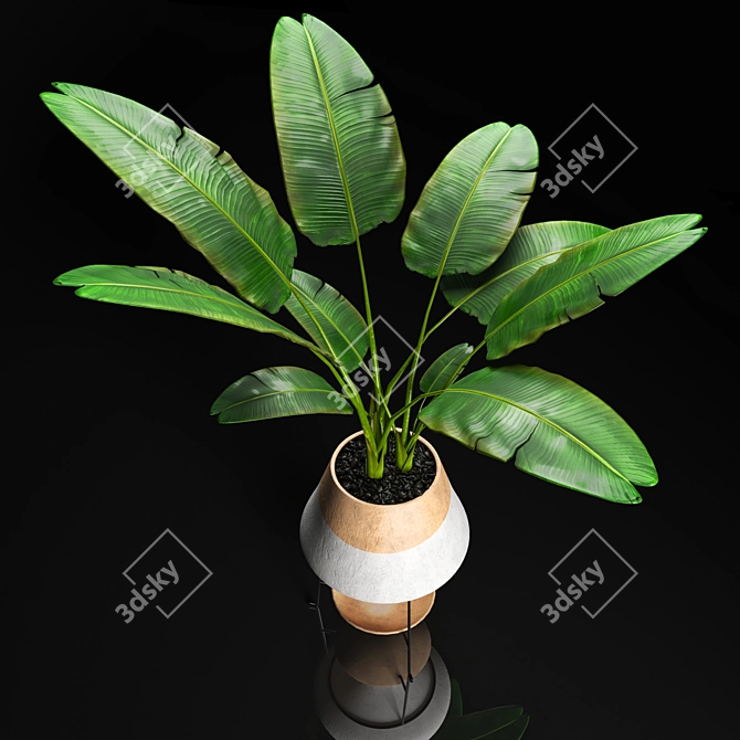 Modern Banana Tree Artwork: High-Quality Interior Decor 3D model image 1