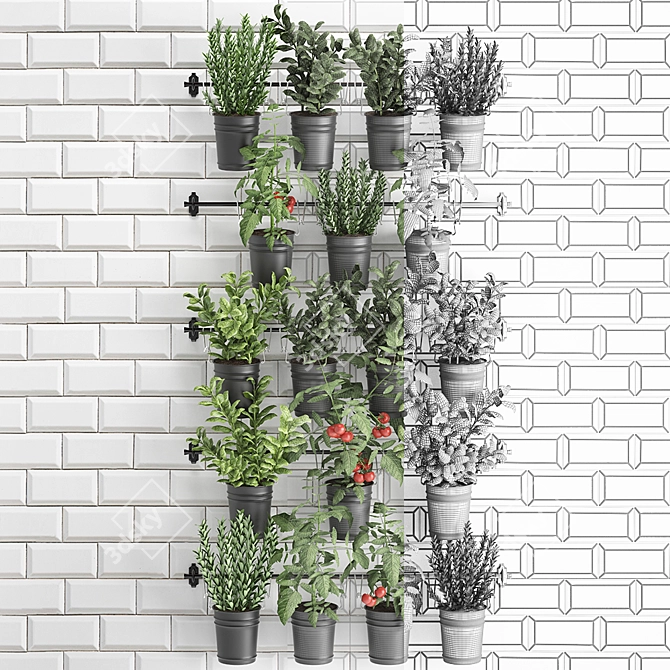 Vertical Greenery Collection: Rosemary, Tomato, Basil 3D model image 3