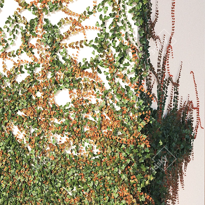 Evergreen Ivy Wall 3D model image 3