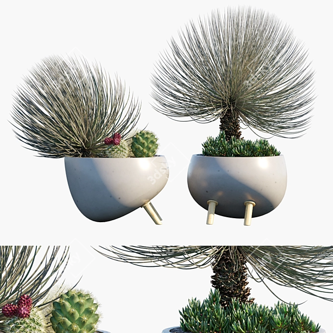 Desert Vibes: Pot #27 3D model image 1