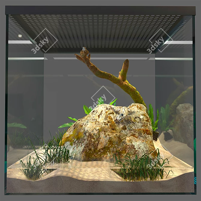 Gecko Terrarium: Compact, Stylish & Easy-to-Maintain 3D model image 1