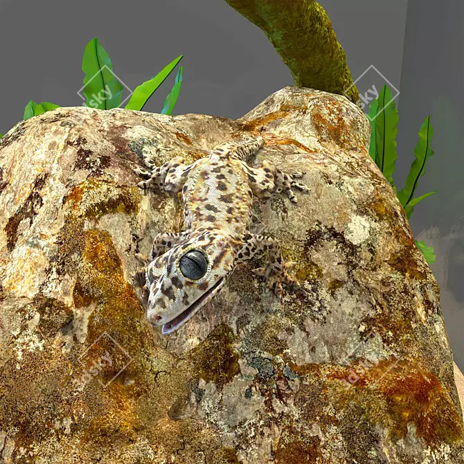 Gecko Terrarium: Compact, Stylish & Easy-to-Maintain 3D model image 2