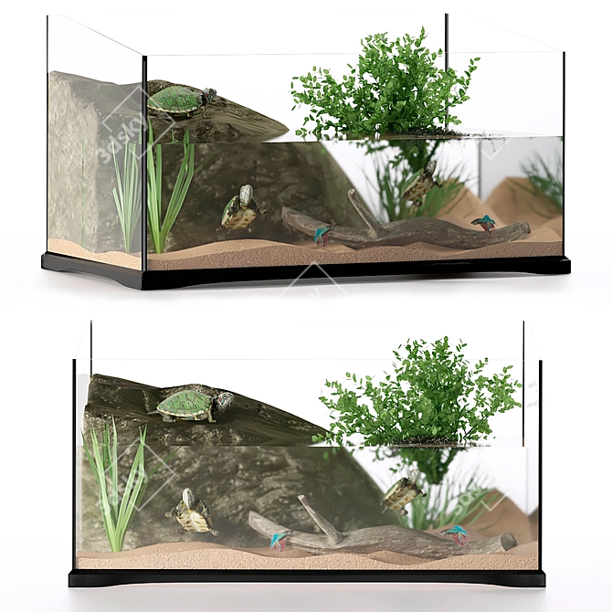 Reptile Haven: Turtle Terrarium 3D model image 1