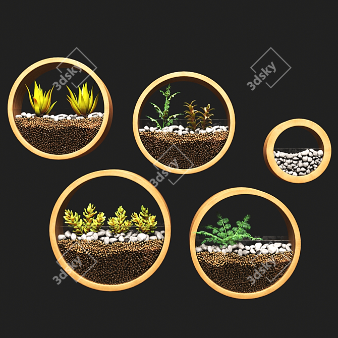 Ornamental Plant Collection 3D model image 1