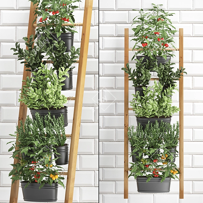 Vertical Garden Collection: Exotic Houseplants & Herbs 3D model image 1