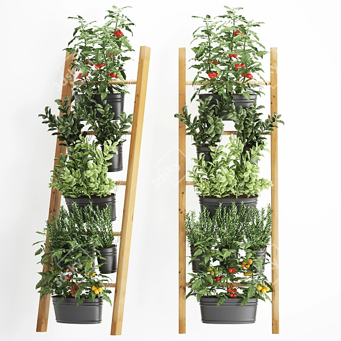 Vertical Garden Collection: Exotic Houseplants & Herbs 3D model image 2