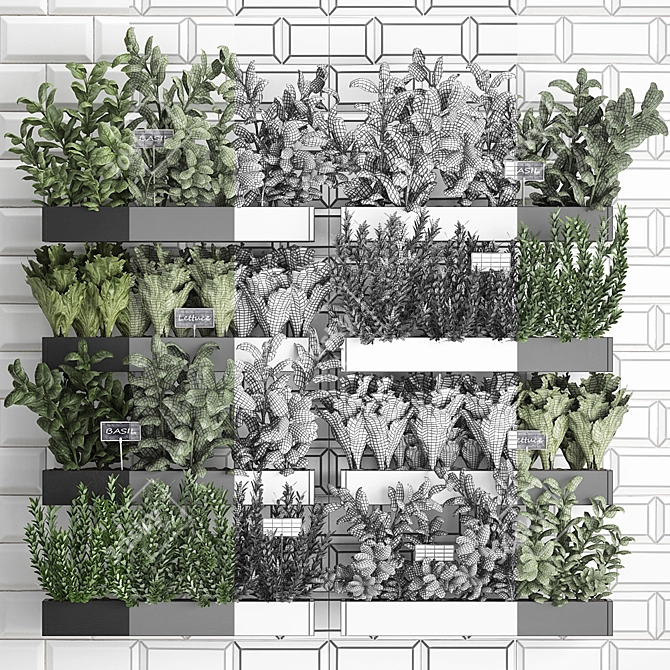 Vertical Garden: Exotic Houseplants & Herbs 3D model image 3