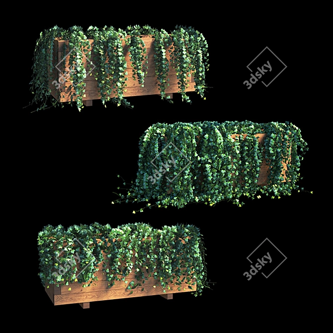Versatile Ivy Collection: Perfect for Exteriors 3D model image 1
