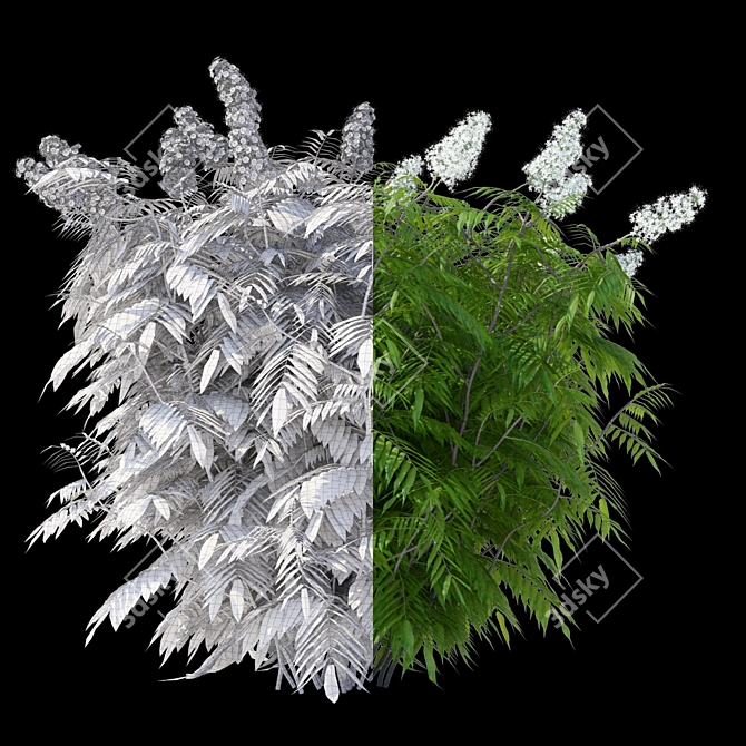 Fieldfare Mountain Ash Bushes | Sorbaria Sorbifolia 3D model image 2