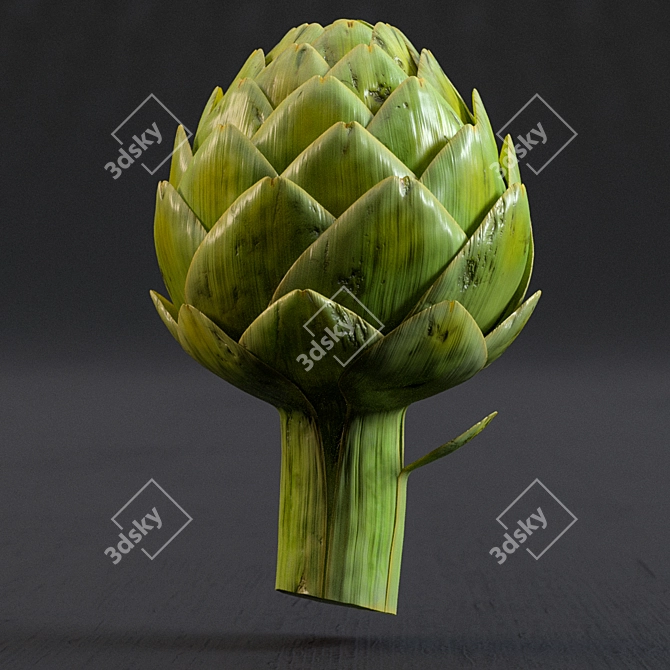 Gilded Artichokes 24k 3D model image 2