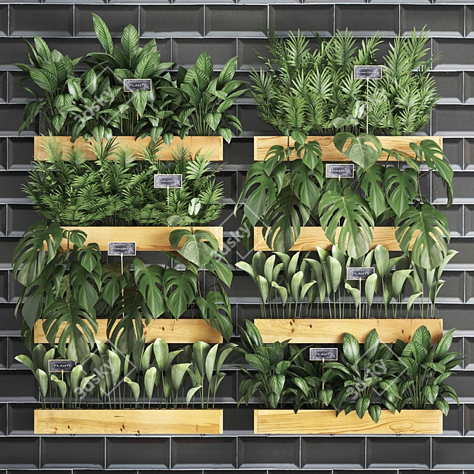 Vertical Oasis: Indoor Exotics & Houseplants 3D model image 1