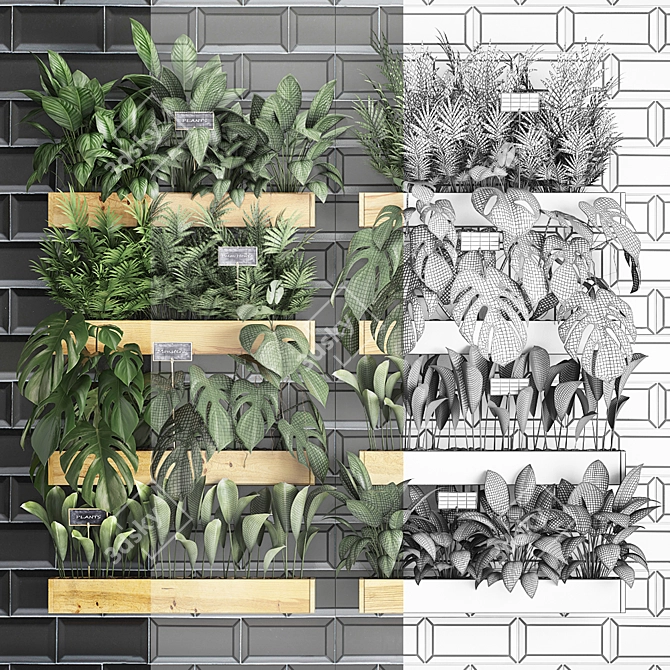Vertical Oasis: Indoor Exotics & Houseplants 3D model image 3