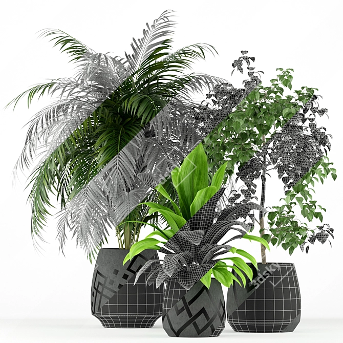 Botanical Oasis: 195 Plant Collection 3D model image 3