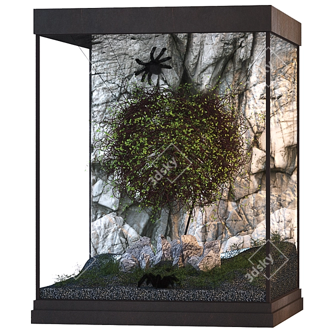 Spider's Lair: Terrarium for Bird-Eating Spiders 3D model image 1