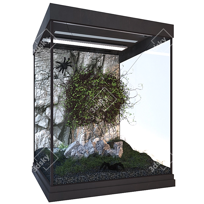 Spider's Lair: Terrarium for Bird-Eating Spiders 3D model image 2