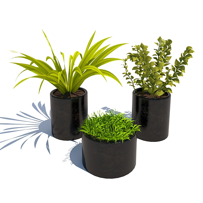 Green Oasis: Assorted Plant Collection 3D model image 1