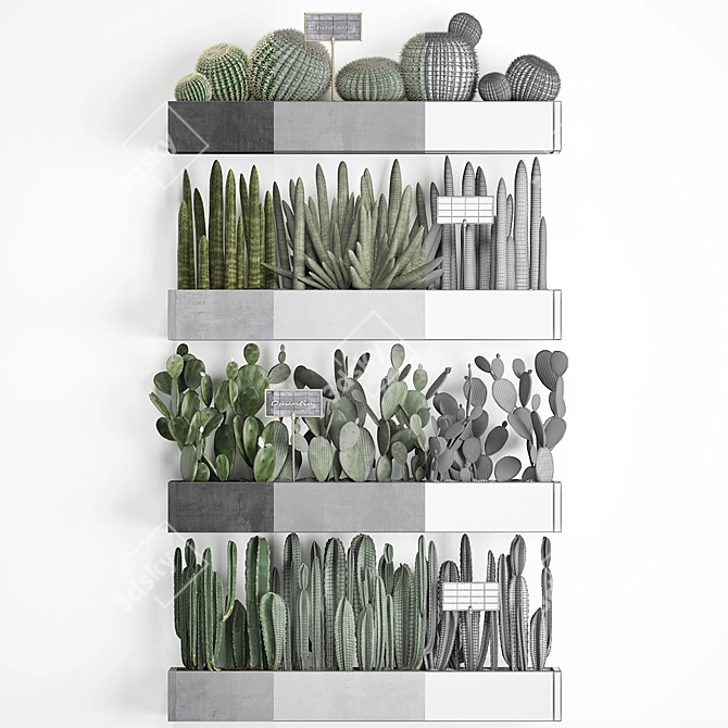 Vertical Oasis: Exotic Houseplants & Cacti 3D model image 3
