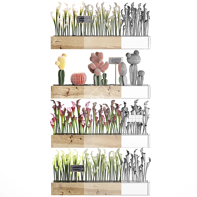 Vertical Garden: Exotic Houseplants 3D model image 3