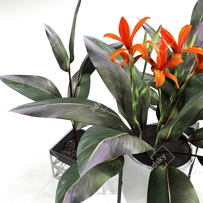 Lush Canna Plant Duo 3D model image 2