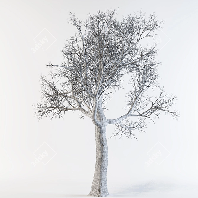 Aatumn Twigs: Leafless Beauty 3D model image 2