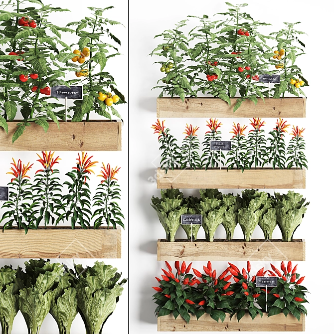 Vertical Garden: Exotic Plants for Kitchen Décor 3D model image 1