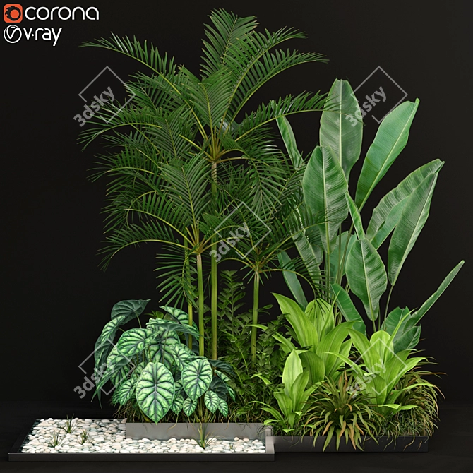 198 Plants Collection: Variety and Beauty 3D model image 1